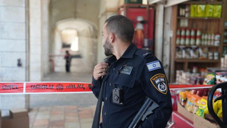 התאומים רצו לנקום: פוענח ניסיון הרצח בנווה יעקב