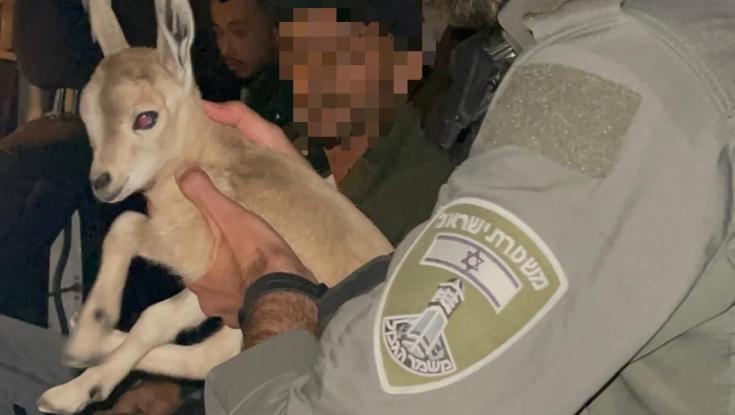 בעקבות סרטון ברשתות: לוחמי מג"ב פשטו על בית וחילצו עופר צעיר