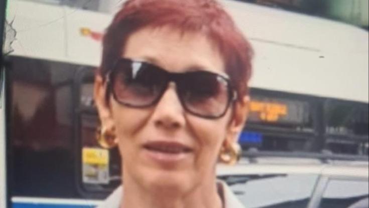מי ראה את דינה? המשטרה מבקשת את עזרת הציבור