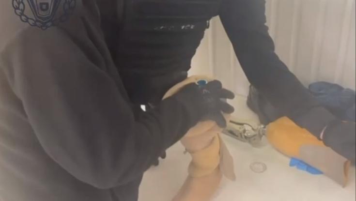בתוך הפרוטזה של המחבל: זה מה שחיכה ללוחמים