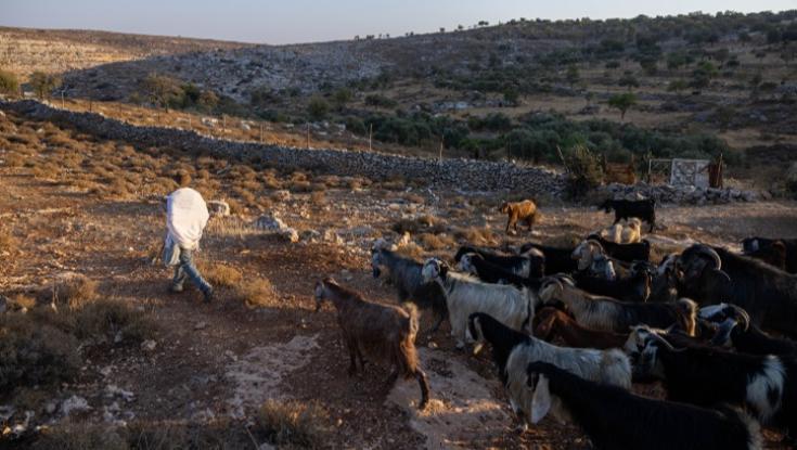 לאחר רצח הנער: לינץ' מאורגן על רועי צאן יהודים - שני פורעים חוסלו
