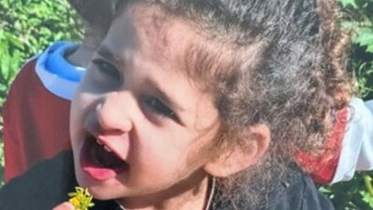 "טראומה בלתי ניתנת לתיאור": התמונה של אביגיל עידן עם הנשיא ביידן