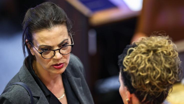 "היי עמית סגל": גלית דיסטל פנתה לכתב ושיתפה בשיחה עם הרמטכ"ל הלוי