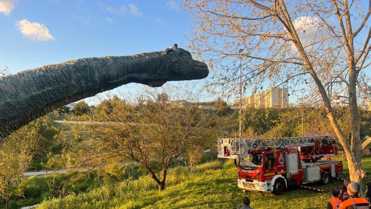 סמי הכבאי גרסת המציאות: ילד בן 6 נתקע על "דינוזאור" ענק וחולץ