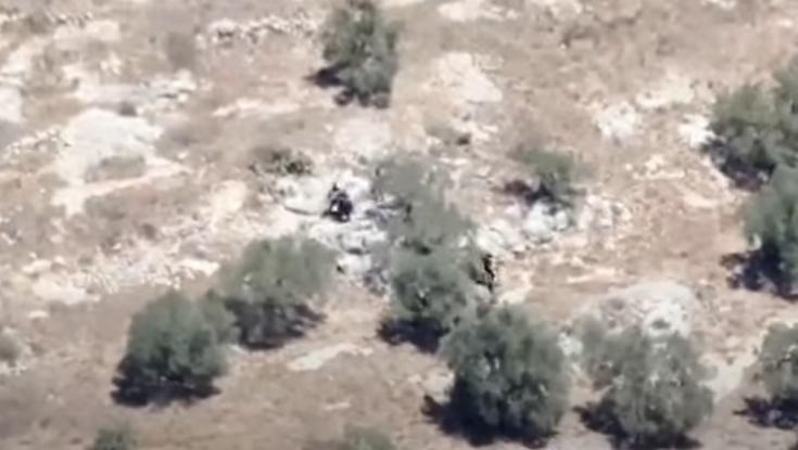 בין עצי זית - בשילוב עם חיל האוויר: המבצע המדויק של דובדבן בטול כרם