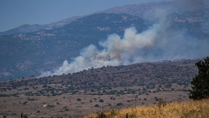 "בוועדת שמות הבאה נחליף את השם של היישוב ל'תל אביב'"