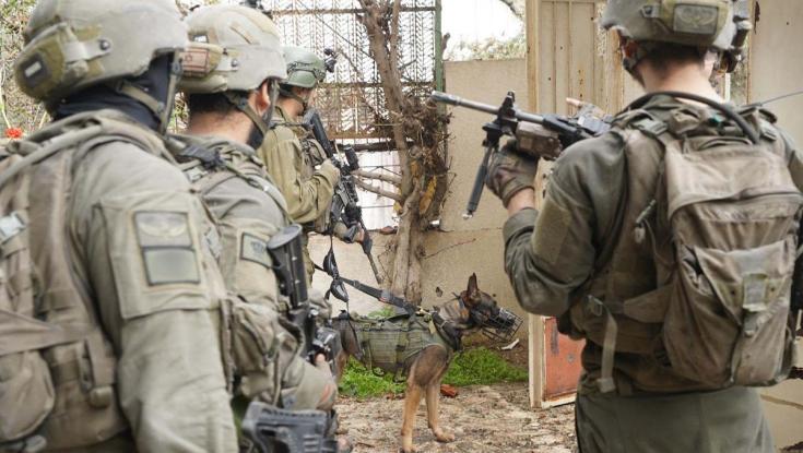 "שנים שלא היו שם יהודים": הרב הראשי פוסק לחיילים - כך תקראו את המגילה בעזה
