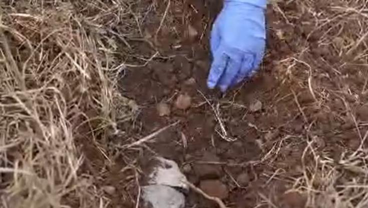 בלב המסלעה - בתוך שקית אורז: זה מה שמצאה המשטרה בפשיטה בצפון