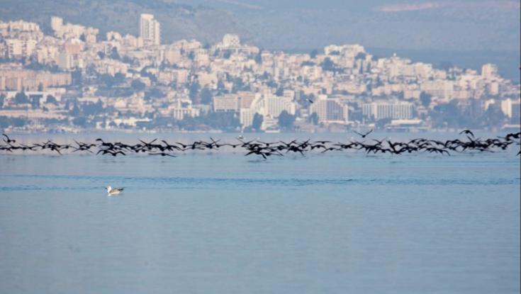 הקיץ החם נותן את אותותיו: ירידה במפלס הכינרת