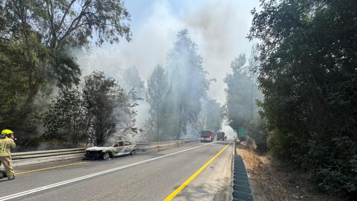 האש התפשטה במהירות: מאמצים להשתלט על שריפה גדולה ליד סניף איקאה