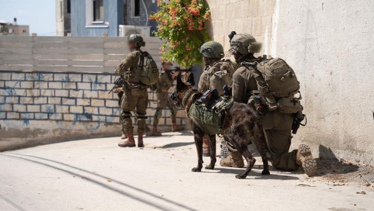 יממה לאחר נטרול רכב התופת בבנימין: תקציב ביטחוני לא מועבר ליישובים ביו"ש