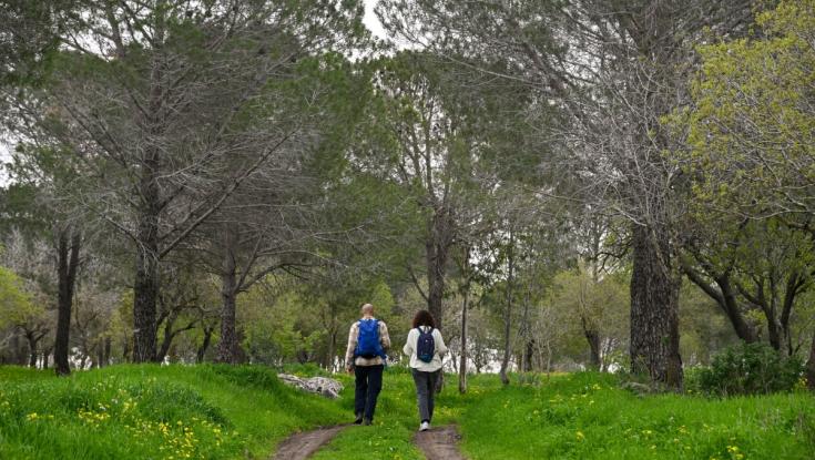 "בעקבות מצב החירום": ההודעה המרגשת של קק"ל