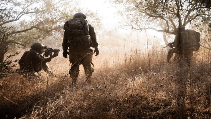 צה"ל מרחיב את הפעילות בצפון: אלו היישובים שהוכרזו כשטח צבאי סגור