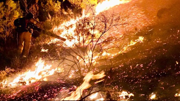 הלילה: מטח לעבר צפת; שריפה נרחבת פרצה ביער ביריה