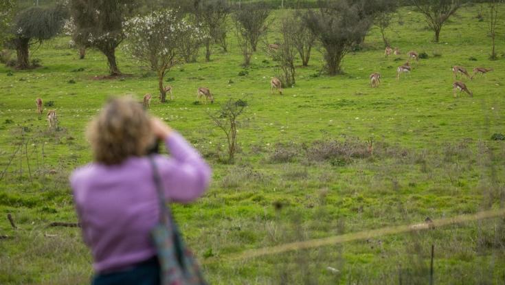 המלחמה הסתיימה - אך המקום האהוב על הירושלמים יישאר סגור