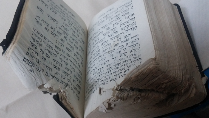 22 שנים אחרי: נחשף הסוד מאחורי המחזור של הרב נריה 