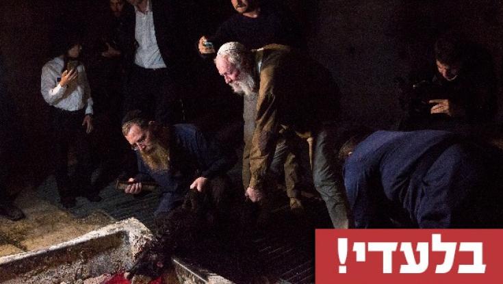 בעקבות הקורונה: בוטל תרגול הקרבת קרבן פסח המסורתי. פרופ' הלל וייס: "מקווים להקריב בהר הבית"