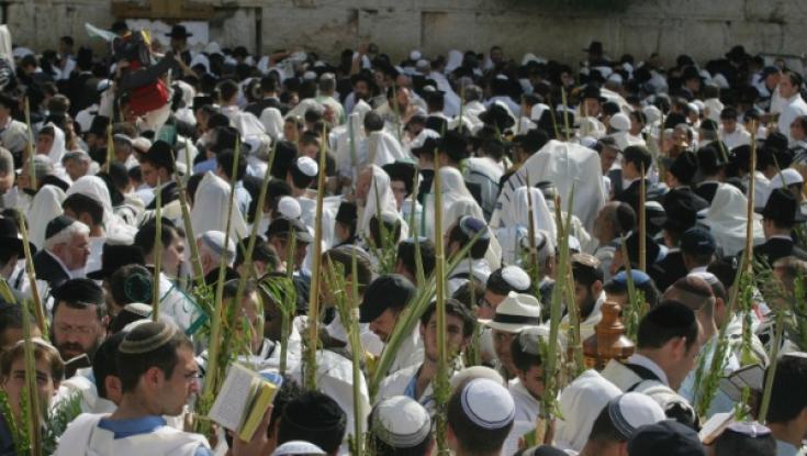 אחרי יום כיפור: וידוי לסוכות