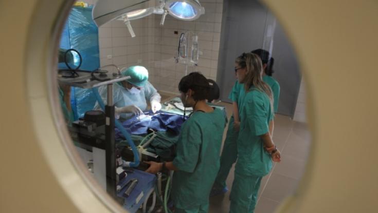 המשטרה עצרה מנהלים בעמותה שעוסקת בתרומות איברים