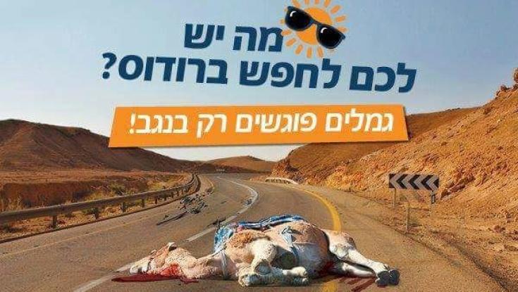 ראש מועצת עומר: "רוב תושבי הנגב תומכים בתנועת רגבים"
