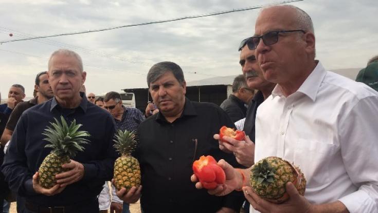 בקעת הירדן: נערכים לקליטת 10,000 תושבים חדשים