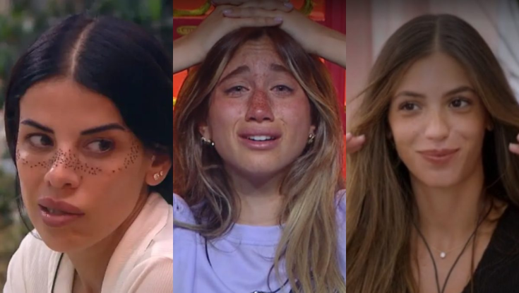 לא בגלל רפאלה: למה כולן התחילו לצייר נמשים?