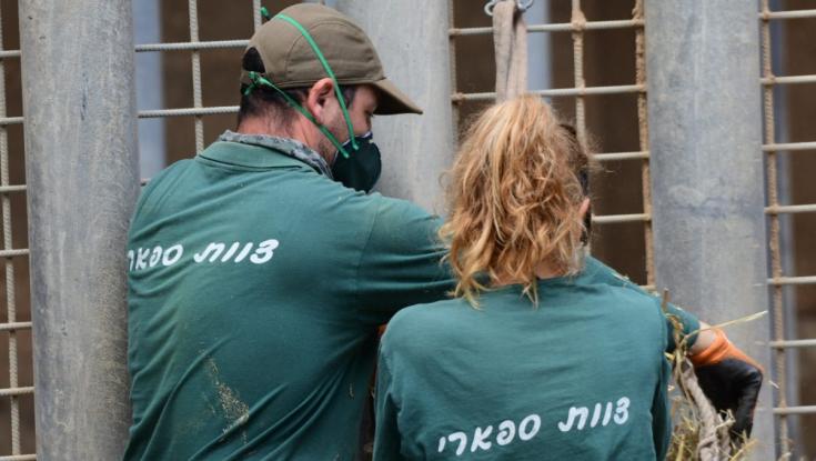 אחרי 65 שנים: בספארי נפרדים מהדמות האייקונית, "תישאר איתנו לעד"