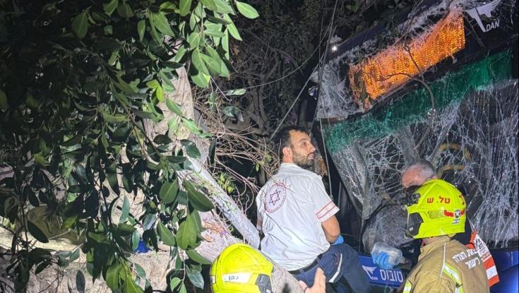אסון כבד בתל אביב: שני אוטובוסים התנגשו, עץ קרס וגם עמוד חשמל