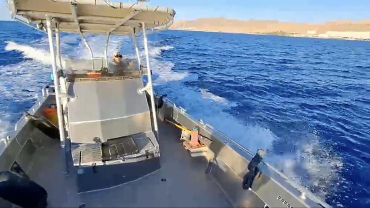 דרמה מול חופי אילת: "הלהקה התקרבה, ואז חברה לנתיב השייט שלנו"