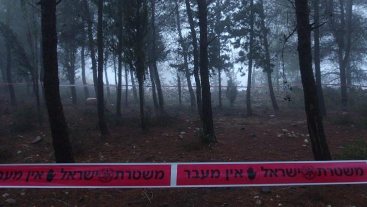 בקק"ל מעדכנים: אלה היערות שיהיו סגורים ביום העצמאות