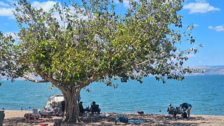 קטסטרופה בכנרת: זה יימשך בימים הקרובים