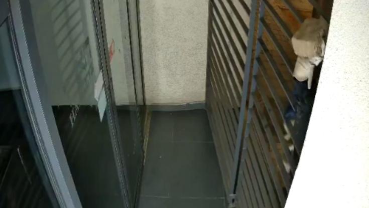זה שוב קורה: רעול פנים ניפץ את הדלת של מערכת "הארץ"