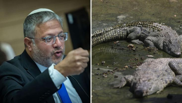 מהפך בקציעות: בית המשפט עצר ברגע האחרון את תכנית התנינים