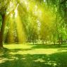 תחזית צילום: shutterstock תחזית מזג האוויר
