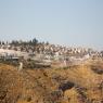 היישוב תקוע צילום: Gershon Elinson/Flash90 חדשות