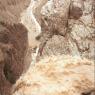  צילום: Nati Shohat/Flash90 חדשות