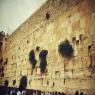 הכותל המערבי צילום: אהבה פז דעות