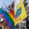 איזה דגל מותר לשאת בצה"ל? צילום: פלאש 90 ביטחון