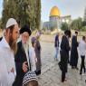יהודים בהר הבית הבוקר |  צילום: מינהלת הר הבית חדשות