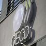 מטה ה-OECD צילום: shutterstock כסף