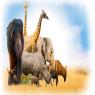  צילום: shutterstock חדשות
