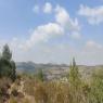  צילום: כבאות והצלה מבזקים