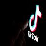 גיוס באמצעות הטיקטוק צילום: shutterstock חדשות