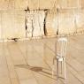 רחבת הכותל המערבי | צילום: shutterstock חדשות