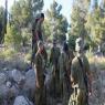 לוחמי צה"ל בחיפושים. ארכיון צילום: Gershon Elinson/Flash90 חדשות