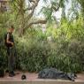 המחבל מנוטרל צילום: Chaim Goldberg/Flash90 חדשות