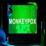monkeypox צילום: shutterstock חדשות