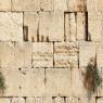 הכותל צילום: shutterstock חדשות