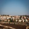 אלון שבות צילום: Gershon Elinson/Flash90 חדשות