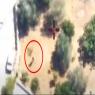 חיסול צילום: דובר צה"ל חדשות